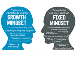 Fixed mindset / growth mindset