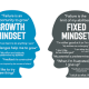 Fixed mindset / growth mindset